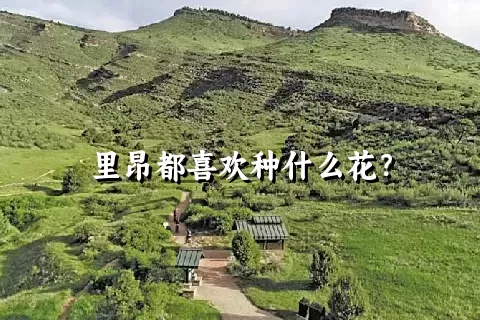 里昂都喜欢种什么花？