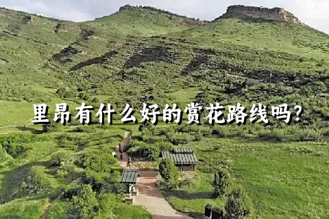 里昂有什么好的赏花路线吗？