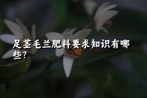 足茎毛兰肥料要求知识有哪些？