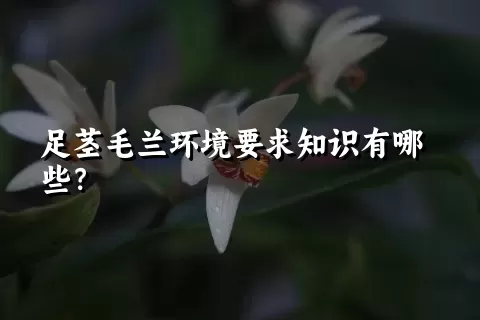 足茎毛兰环境要求知识有哪些？