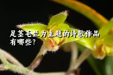 足茎毛兰为主题的诗歌作品有哪些？