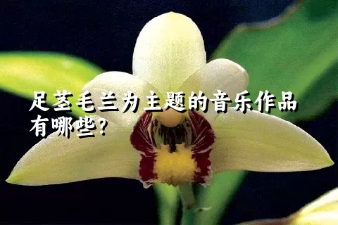 足茎毛兰为主题的音乐作品有哪些？