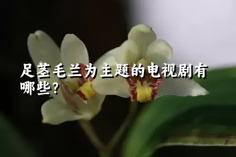 足茎毛兰为主题的电视剧有哪些？