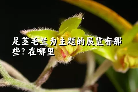 足茎毛兰为主题的展览有那些？在哪里