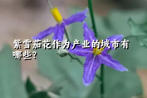 紫雪茄花作为产业的城市有哪些？