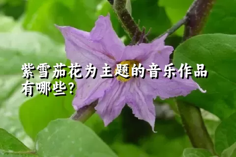 紫雪茄花为主题的音乐作品有哪些？