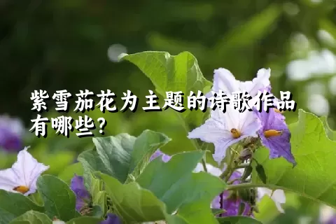 紫雪茄花为主题的诗歌作品有哪些？