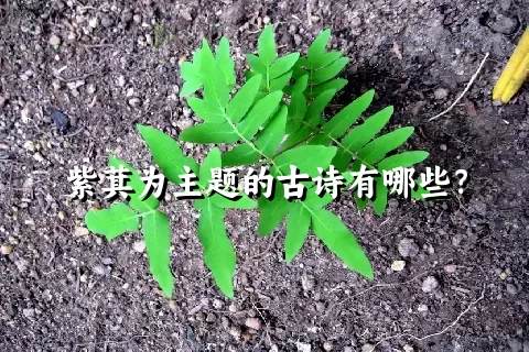 紫萁为主题的古诗有哪些？