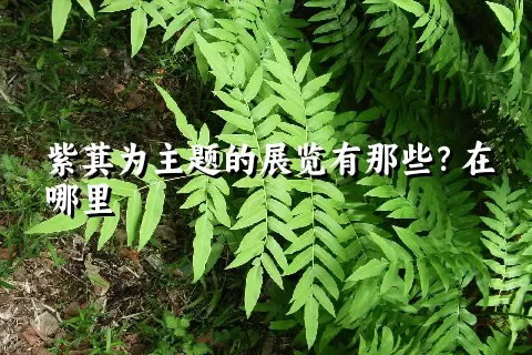 紫萁为主题的展览有那些？在哪里