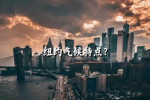 纽约气候特点？