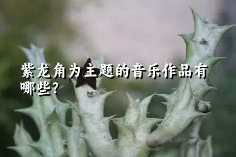 紫龙角为主题的音乐作品有哪些？