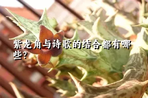 紫龙角与诗歌的结合都有哪些？