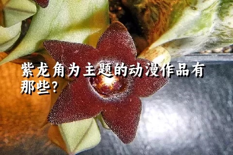 紫龙角为主题的动漫作品有那些？