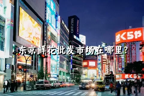 东京鲜花批发市场在哪里？