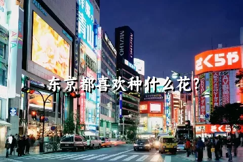 东京都喜欢种什么花？