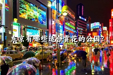 东京有哪些适合赏花的公园？