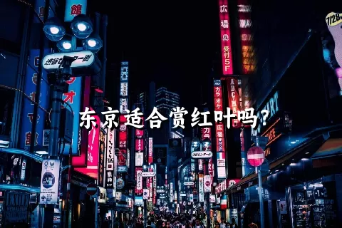 东京适合赏红叶吗？