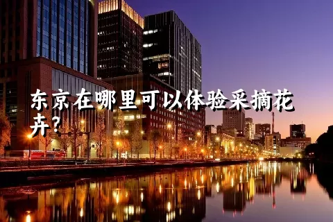 东京在哪里可以体验采摘花卉？