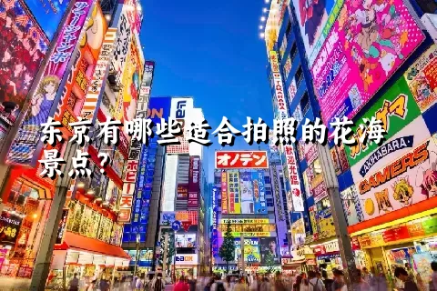 东京有哪些适合拍照的花海景点？