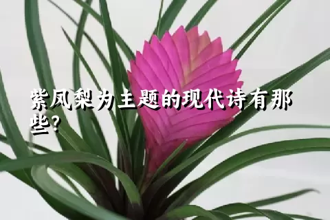 紫凤梨为主题的现代诗有那些？