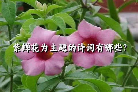 紫蝉花为主题的诗词有哪些？