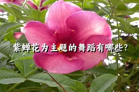 紫蝉花为主题的舞蹈有哪些？