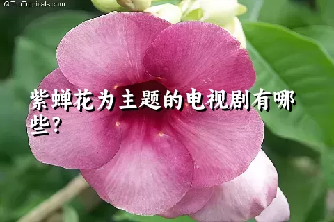 紫蝉花为主题的电视剧有哪些？