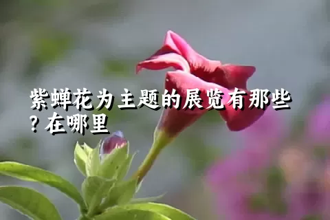 紫蝉花为主题的展览有那些？在哪里