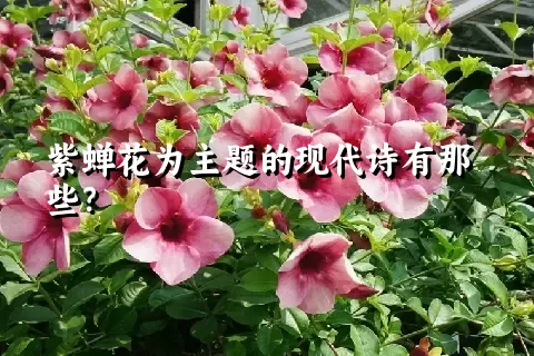 紫蝉花为主题的现代诗有那些？