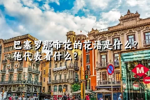 巴塞罗那市花的花语是什么？他代表着什么？