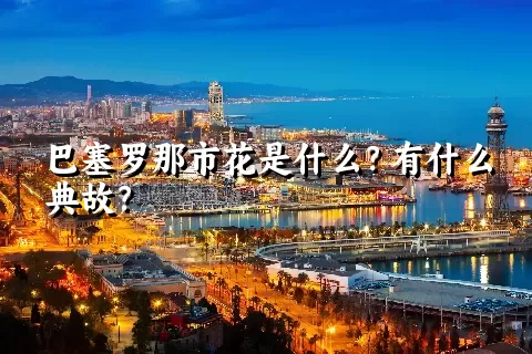 巴塞罗那市花是什么？有什么典故？