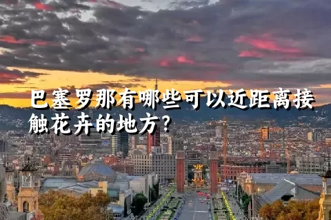 巴塞罗那有哪些可以近距离接触花卉的地方？