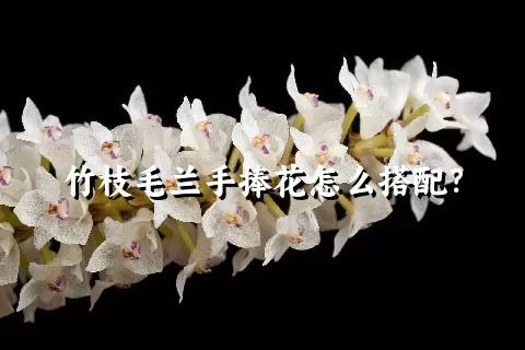 竹枝毛兰手捧花怎么搭配？