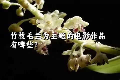 竹枝毛兰为主题的电影作品有哪些？