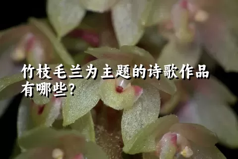 竹枝毛兰为主题的诗歌作品有哪些？