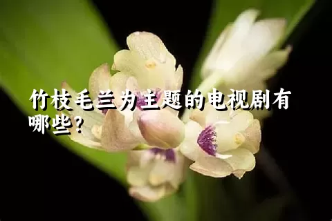 竹枝毛兰为主题的电视剧有哪些？