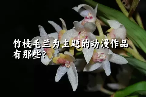 竹枝毛兰为主题的动漫作品有那些？