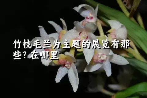 竹枝毛兰为主题的展览有那些？在哪里