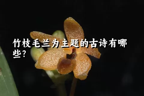 竹枝毛兰为主题的古诗有哪些？