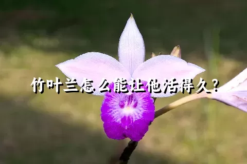 竹叶兰怎么能让他活得久？