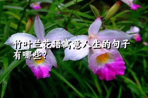 竹叶兰花语寓意人生的句子有哪些？