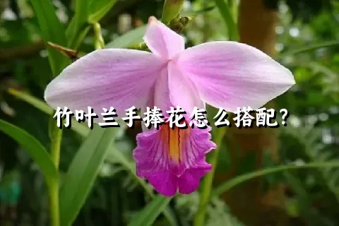 竹叶兰手捧花怎么搭配？