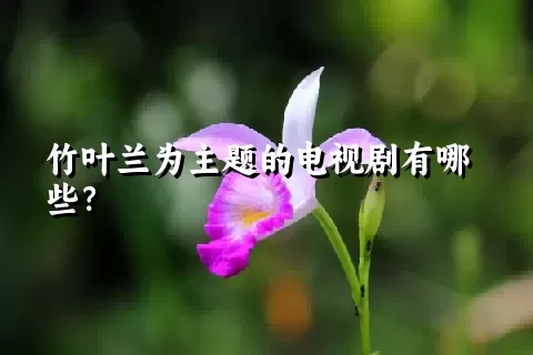 竹叶兰为主题的电视剧有哪些？