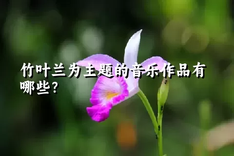 竹叶兰为主题的音乐作品有哪些？