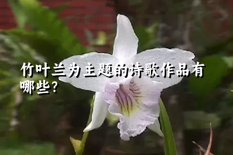 竹叶兰为主题的诗歌作品有哪些？