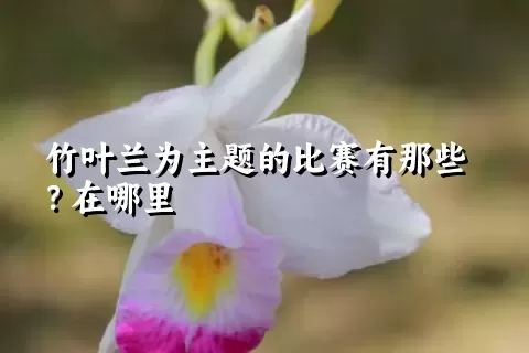 竹叶兰为主题的比赛有那些？在哪里