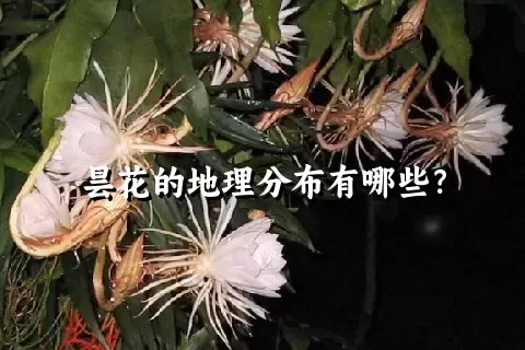 昙花的地理分布有哪些？