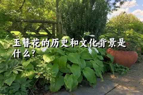 玉簪花的历史和文化背景是什么?