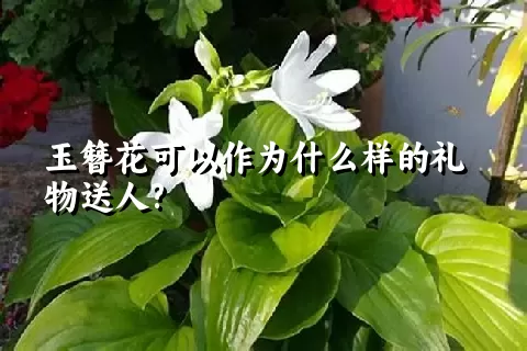 玉簪花可以作为什么样的礼物送人?