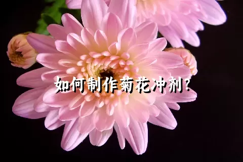 如何制作菊花冲剂？